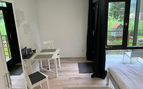 Kleines Einzimmer-Apartment 14