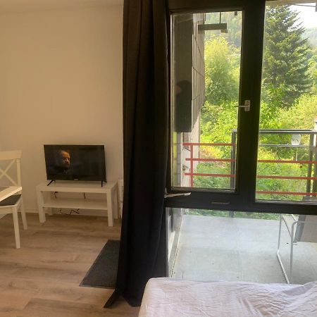 Kleines Einzimmer-Apartment 14 Bad Wildbad Extérieur photo