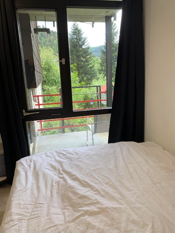 Kleines Einzimmer-Apartment 14 Bad Wildbad Extérieur photo
