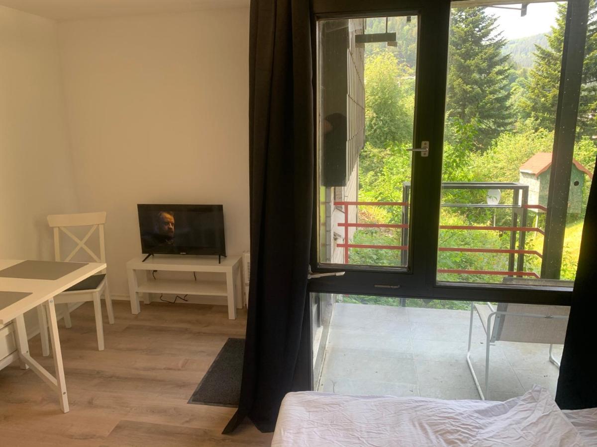 Kleines Einzimmer-Apartment 14 Bad Wildbad Extérieur photo